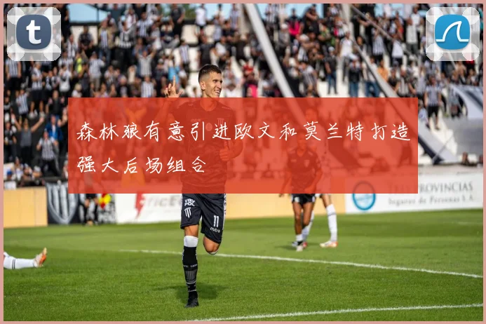 森林狼有意引进欧文和莫兰特打造强大后场组合