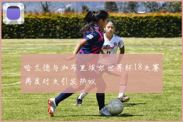 哈兰德与加布里埃尔世界杯18决赛再度对决引发热议